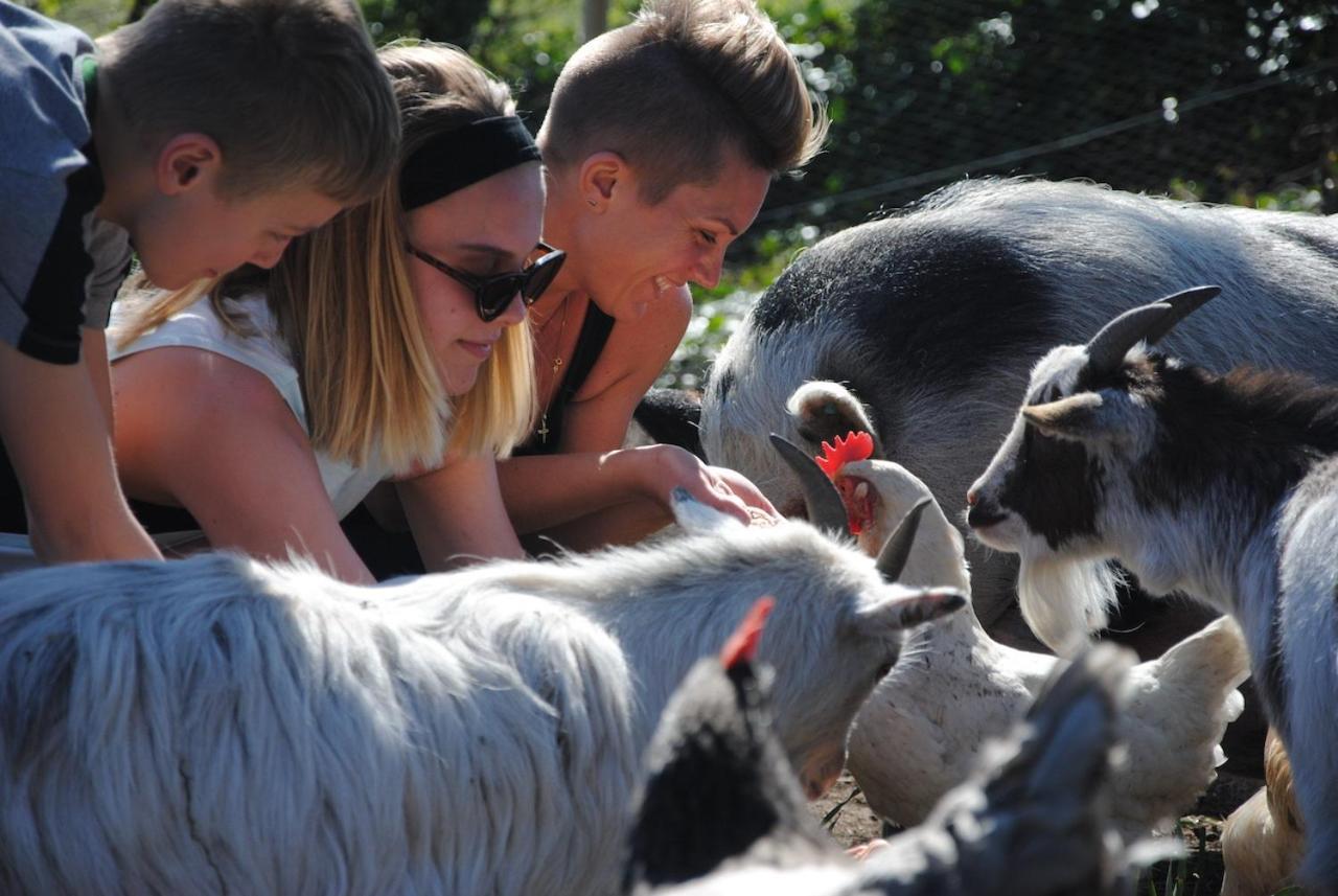 Hotel Delny Glamping And Farm Animals à Invergordon Extérieur photo