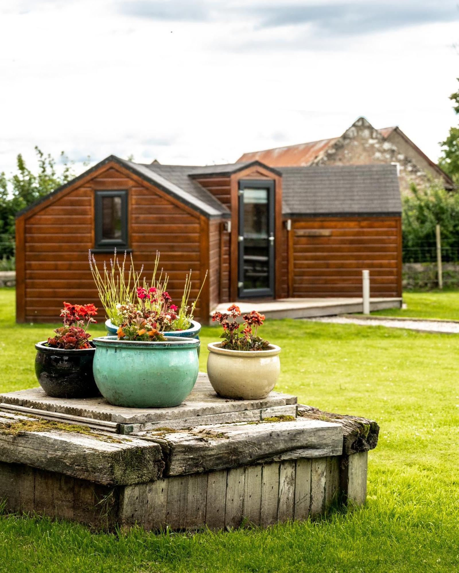 Hotel Delny Glamping And Farm Animals à Invergordon Extérieur photo